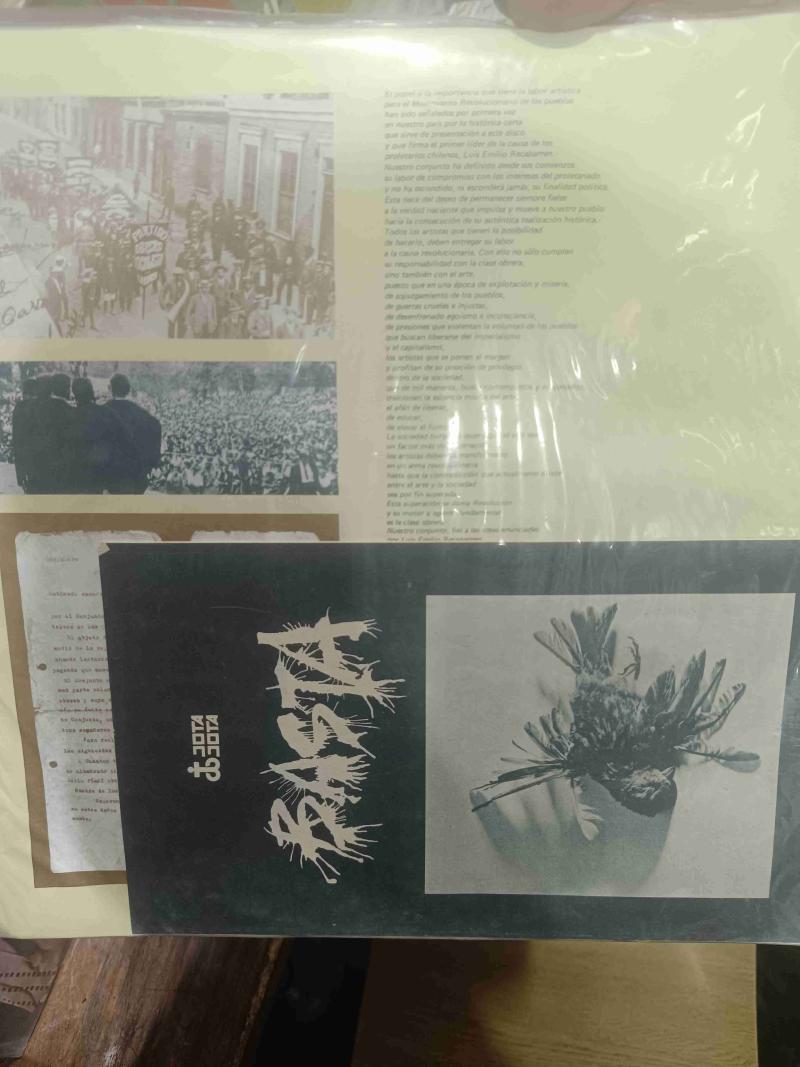 Vinilo Basta edición especial - 3