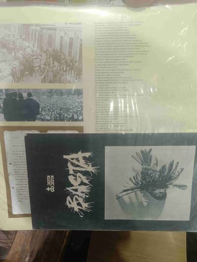 Vinilo Basta edición especial - miniatura 3