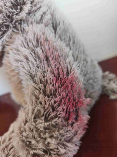 Peluche mono grande - miniatura 2