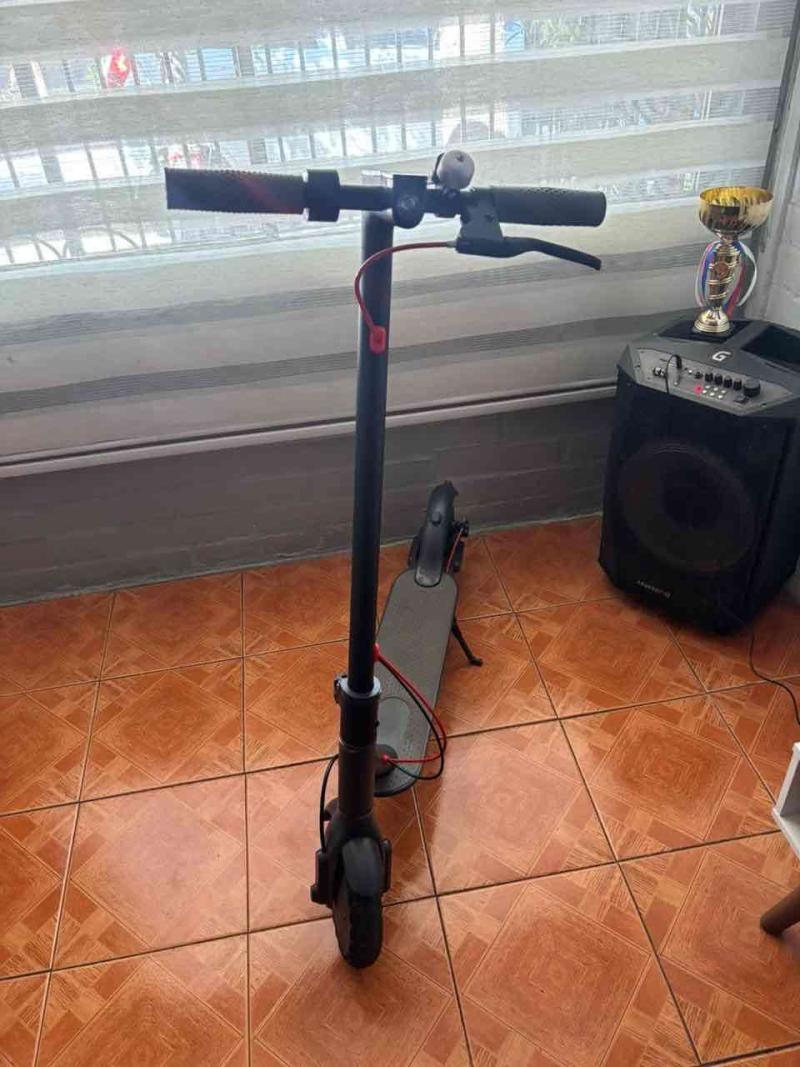Scooter eléctrico adulto